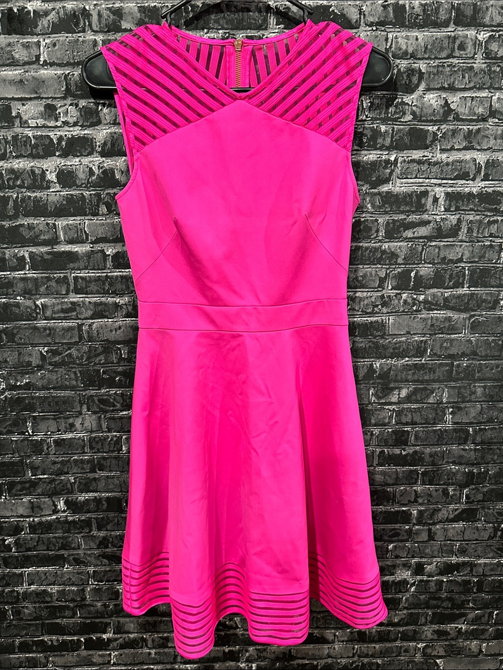 Ted Baker London Hot Pink Striped Mesh Yoke Fit-and-Flare Dress